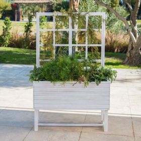 Raised White Beach Wood Eucalyptus Planter with Trellis