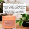 Cinnamon Clove Citrus 3-Wick Candle