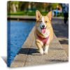 Canvas Prints with Your Photo Custom Canvas Personalized Canvas Pictures, Customized To Any Style, US Factory Drop Shipping, Gifts for