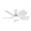 30 Inch Modern Floral Art Matte White Indoor LED Flush Mount  Small Ceiling Fan With Light and  Remote Control