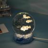 Stars And Seas; Ocean Series Crystal Ball Ornaments; Night Lights