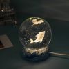 Stars And Seas; Ocean Series Crystal Ball Ornaments; Night Lights